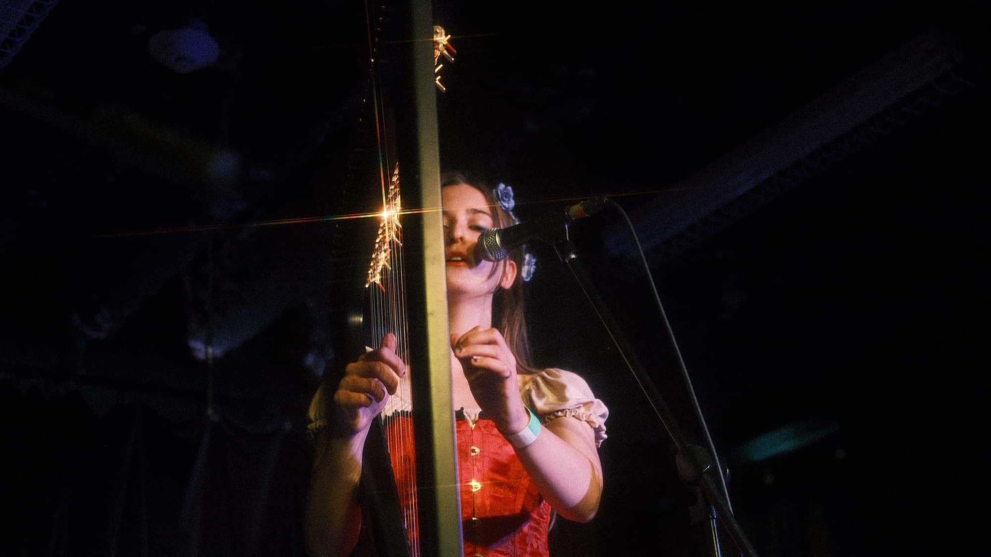Harpist performing on stage under warm stage lights